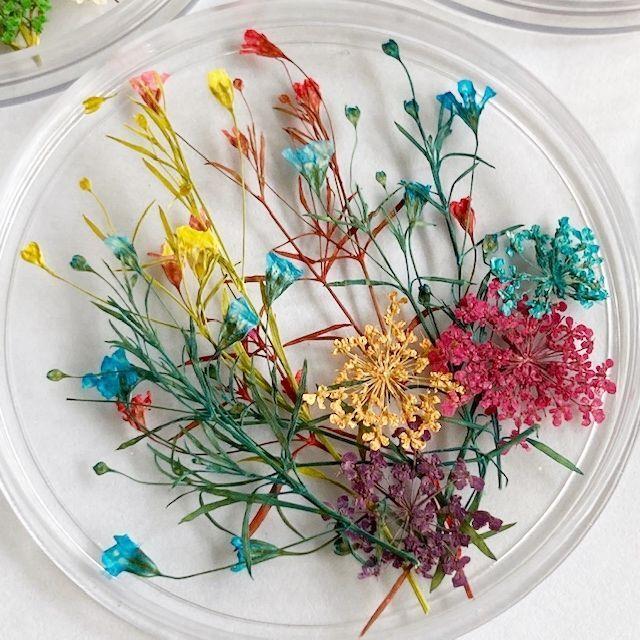 送料0円 メール便可 ドライフラワー 押し花セット ｂタイプ ネイル レジン アクセサリー ハンドメイド ネイルアート ガラスドーム スマホケースデコ Aynaelda Com