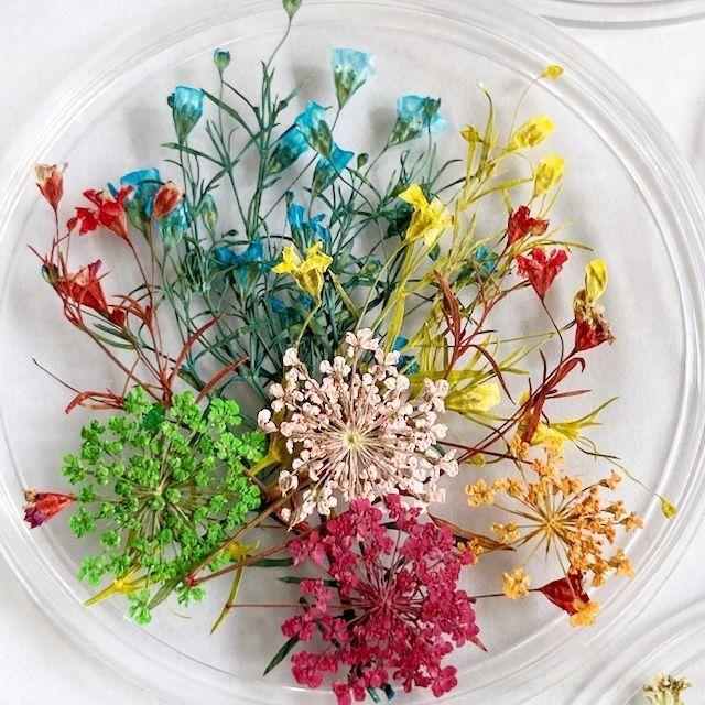 送料0円 メール便可 ドライフラワー 押し花セット ｂタイプ ネイル レジン アクセサリー ハンドメイド ネイルアート ガラスドーム スマホケースデコ Aynaelda Com