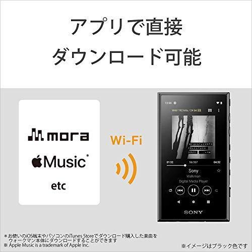 ソニー ウォークマン 64gb Aシリーズ Nw A107 ハイレゾ対応 Mp3プレーヤー Bluetooth Android搭載 Microsd対応 タッ Wedge Homes Co Uk