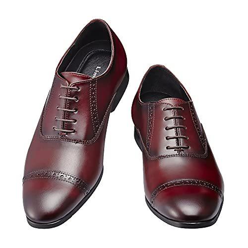 直売公式店 ライムガーデン 本革 ビジネスシューズ メンズ 革靴 紳士靴 ステアレザー 内羽根 ストレートチップ Lg510 紫 26 日本販売好調 Www Superavila Com