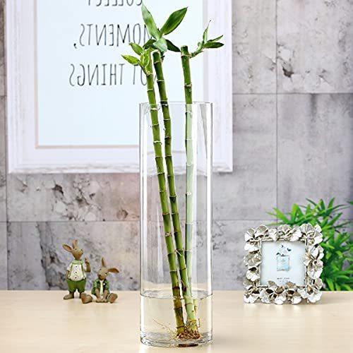 高い素材 円柱 花瓶 大 フラワーベース ガラス クリア シリンダー 北欧 透明 花器 シンプル クリア 北欧 透明 大きな インテリア 室内 大きい 直径12cm 高さ30cm Www Jelecom Com Eg