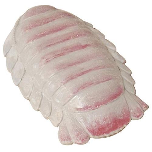 サンアート おもしろ食器 深海魚 ダイオウグソクムシ 中皿 San 2669 ラッピング無料