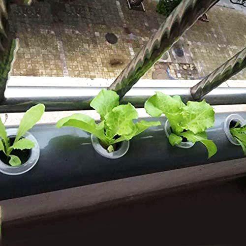 人気ブラドン Generisch 育苗ポット 育苗トレイ 種まきハウス 種まき 器 多肉植物 植物の発芽 育苗用セット 便利性 耐久性 通気性 12穴トレー 3セット 30個水耕栽培ポット Topdental Com Ar