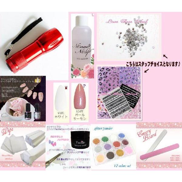 全商品オープニング価格特別価格 送料無料 イベントを応援 ジェルネイルセット Set 1 Love Rose Nail 通販 Yahoo ショッピング 安心の定価販売 Pa Indramayu Go Id