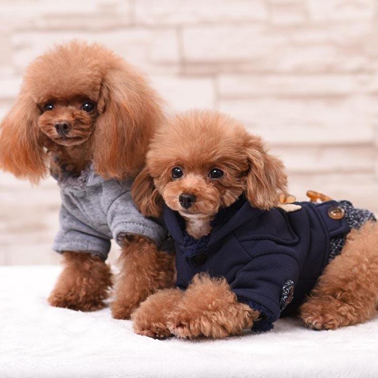 高品質ドッグウェア かわいい犬服 ペット服 犬用品 アウター コート 犬用 おしゃれ かわいい わんちゃん あったかダッフルコート Cttt Lovers 通販 Yahoo ショッピング