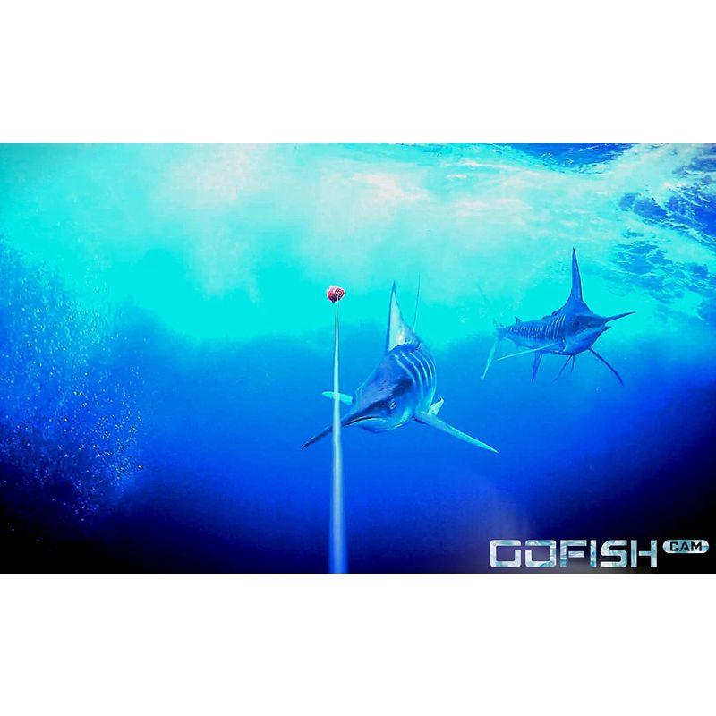 ブランド Go FISH CAM ゴーフィッシュカム 防水 水中カメラ 長時間バッテリー 暗闇撮影 64GB Micro SDカード対応 1080p 【M8682994260】(30954円)