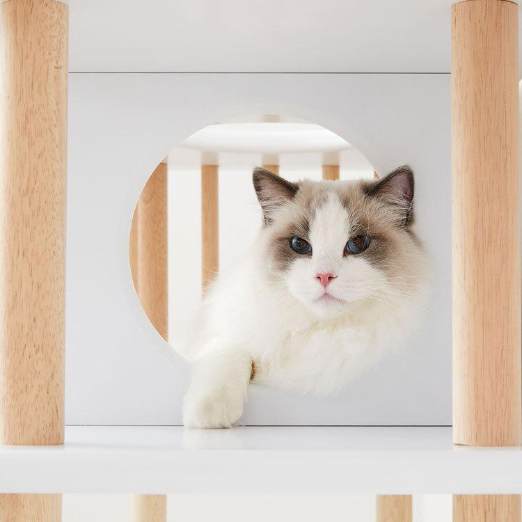 LOWYA（ロウヤ） キャットタワー 幅157cm 猫 おしゃれ 国産 日本製