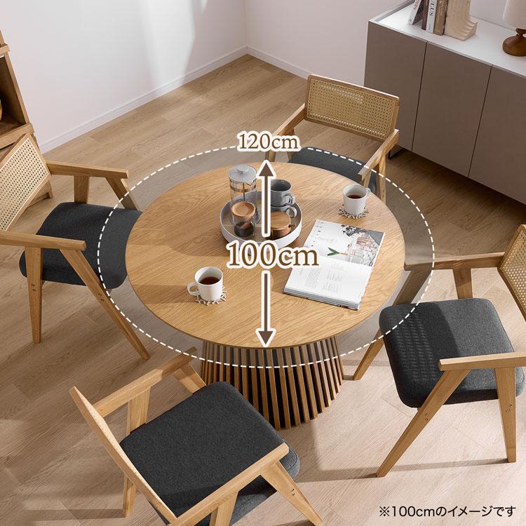 LOWYA（ロウヤ） ダイニングセット 100cm 北欧風チェア 4人掛け 5点