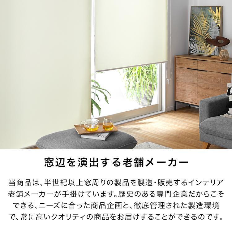 LOWYA ロールスクリーン ロールカーテン 目隠し めかくし 無地 幅160