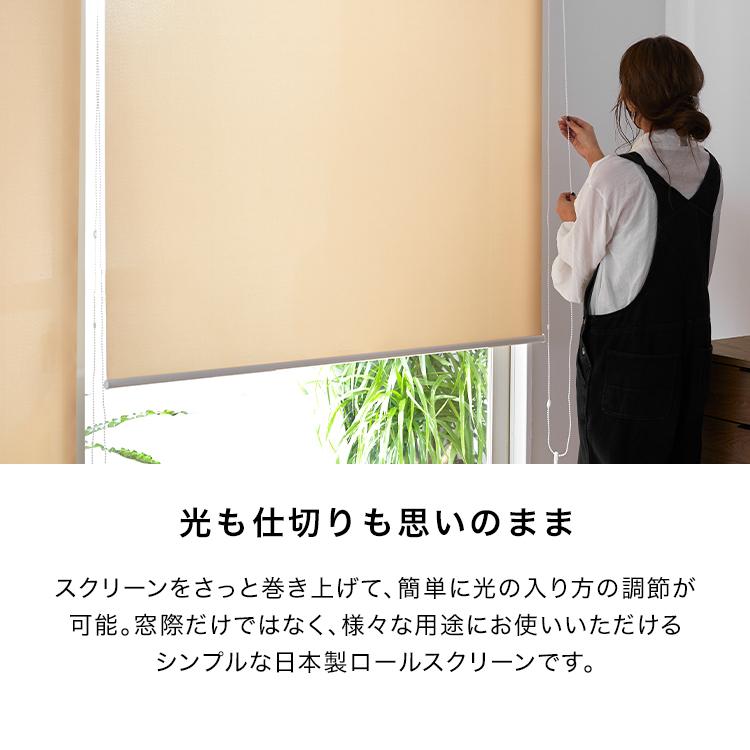 LOWYA（ロウヤ） ロールスクリーン ロールカーテン 目隠し めかくし