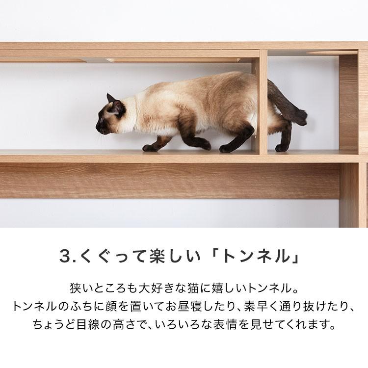 lowyaロウヤ猫家具テレビ台 キャットタワーハイタイプ 猫家具 ウォルナット LOWYA（ロウヤ） テレビ台 ハイタイプ 猫家具 おしゃれ 150cm 収納