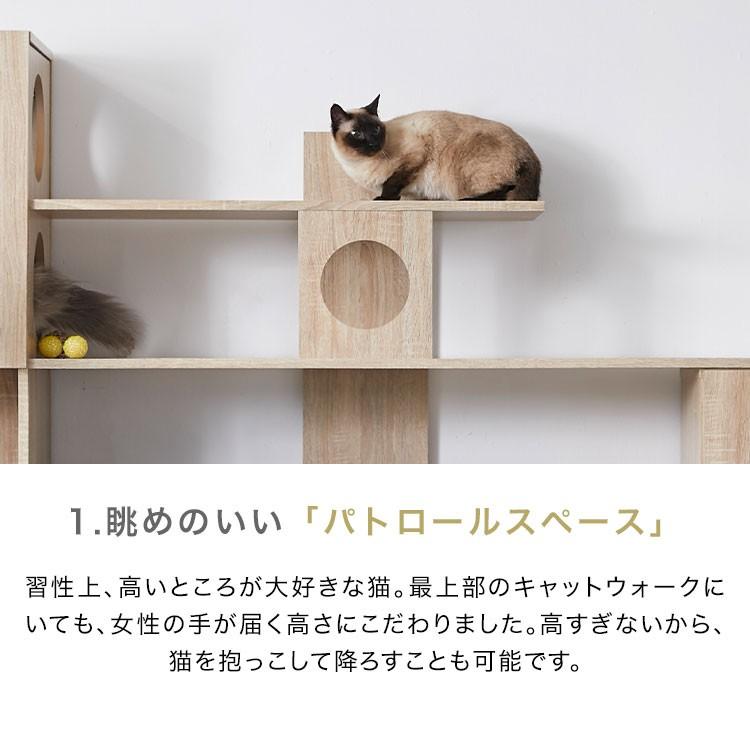 テレビ台 キャットウォーク おしゃれ ハイタイプ 猫家具 テレビボード 高さ180 幅220 収納 オープンラック 壁面収納 ペット ペットタワー 猫 ロウヤ LOWYA｜low-ya｜07