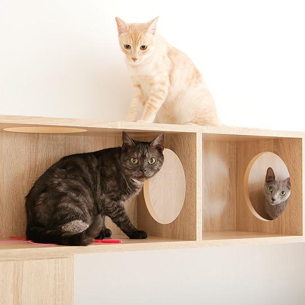 テレビ台 ハイタイプ 猫家具 AVラック 180cm 収納 壁面収納 キャット