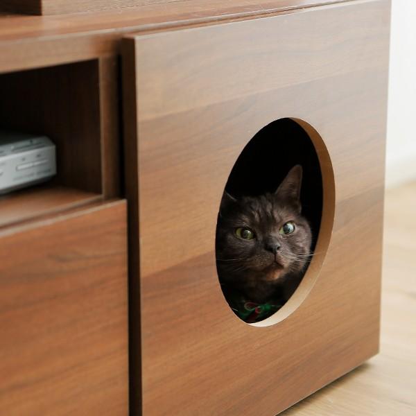 テレビ台 ハイタイプ 猫家具 AVラック 180cm 収納 壁面収納 キャットウォーク ペット タワー 猫 ねこ ネコ ロウヤ LOWYA｜low-ya｜20