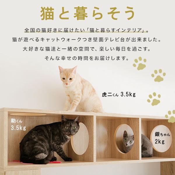 LOWYA テレビ台 ハイタイプ 猫家具 AVラック 180cm 収納 壁面 LOWYA テレビ台 ハイタイプ 猫家具 AVラック 180cm 収納 壁面