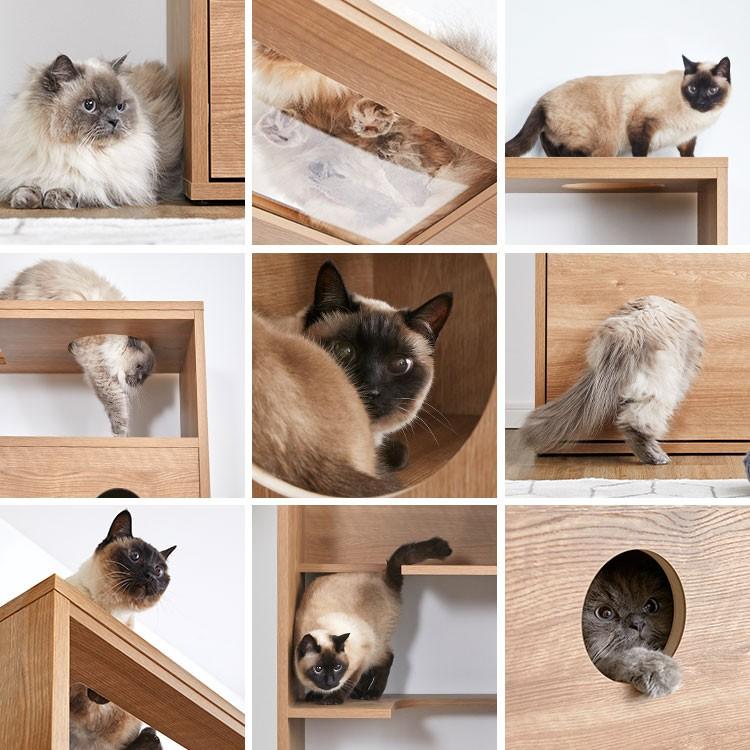 LOWYA ラック 棚 収納 猫家具 ねこ ネコ 木製 おしゃれ キャット LOWYA ラック 棚 収納 猫家具 ねこ ネコ 木製 おしゃれ キャット