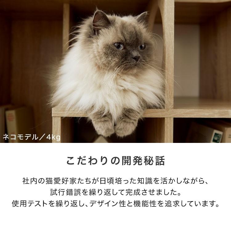 キャットタワー キャットウォーク 猫家具 本棚 収納 棚 おしゃれ 猫 ねこ ネコ 90 スリム 壁面収納 北欧風 ペット 教科書｜low-ya｜06