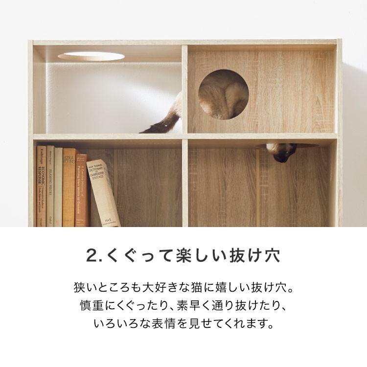 LOWYA キャットタワー キャットウォーク 猫家具 本棚 収納 棚 LOWYA キャットタワー キャットウォーク 猫家具 本棚 収納 棚