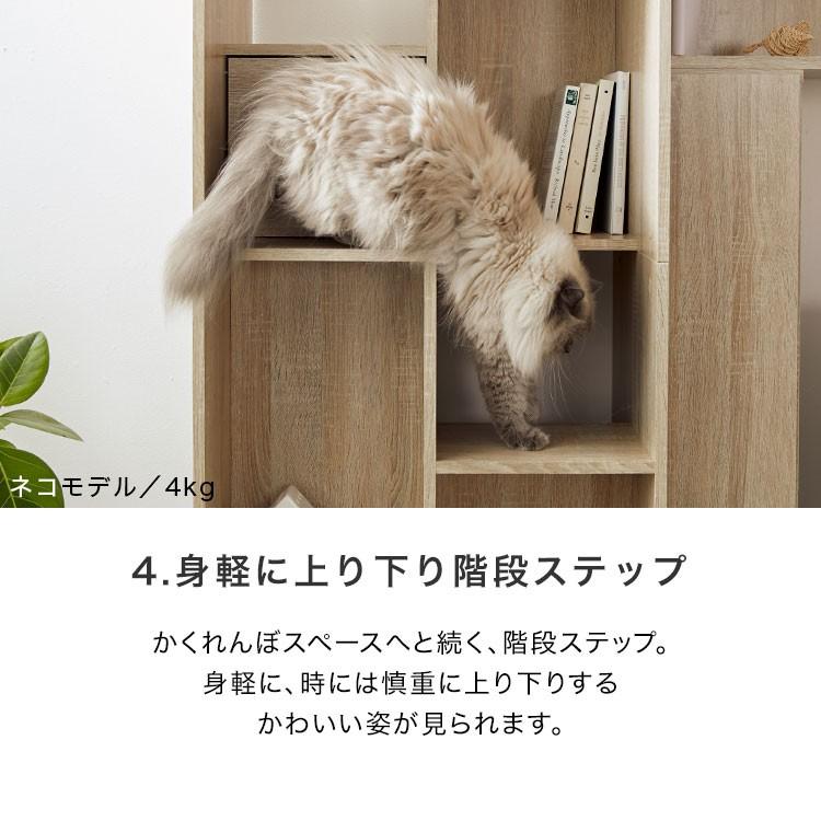 LOWYA（ロウヤ） キャットタワー キャットウォーク 猫家具 本棚 収納
