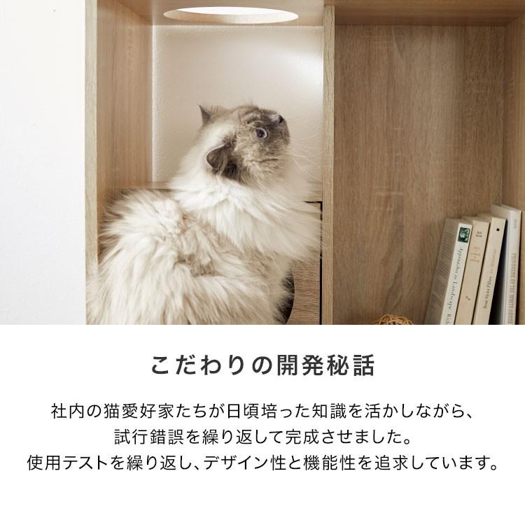 LOWYA（ロウヤ） キャットタワー キャットウォーク 猫家具 本棚 収納