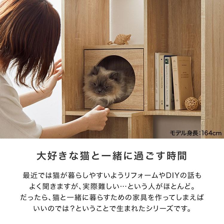 LOWYA（ロウヤ） キャットタワー キャットウォーク 猫家具 本棚 収納