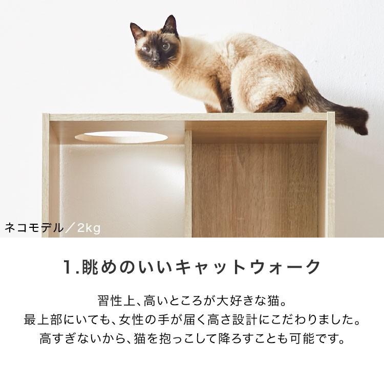 LOWYA（ロウヤ） キャットタワー キャットウォーク 猫家具 本棚 収納