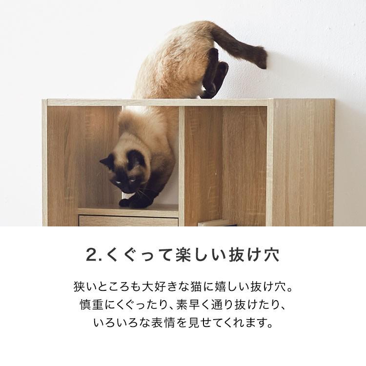 LOWYA（ロウヤ） キャットタワー キャットウォーク 猫家具 本棚 収納