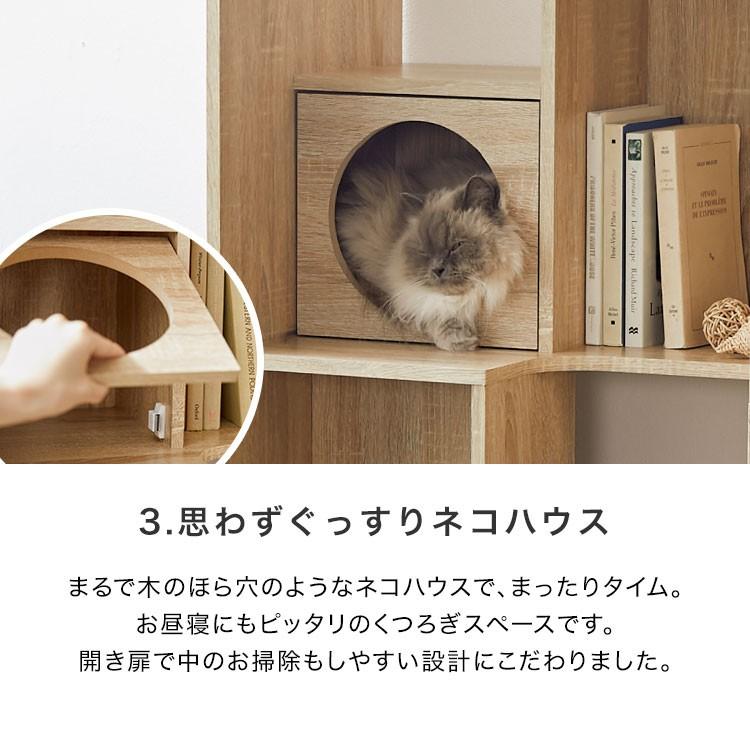 LOWYA（ロウヤ） キャットタワー キャットウォーク 猫家具 本棚 収納