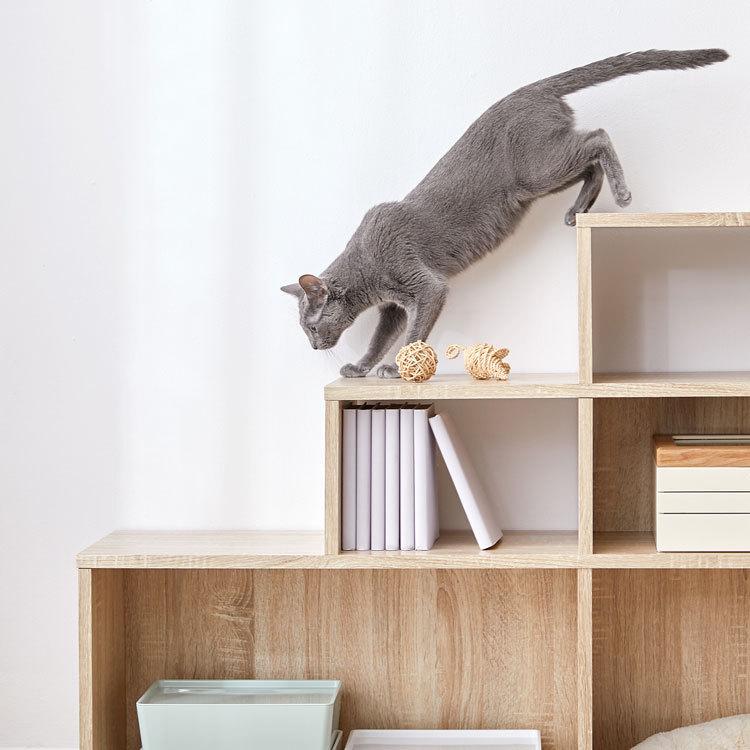 階段 ステアーズ 棚 シェルフ 収納 ストレージ 猫家具 収納 収納棚 リビング収納 木製 おしゃれ シンプル ナチュラル ねこ ネコ リモート | LOWYA | 17