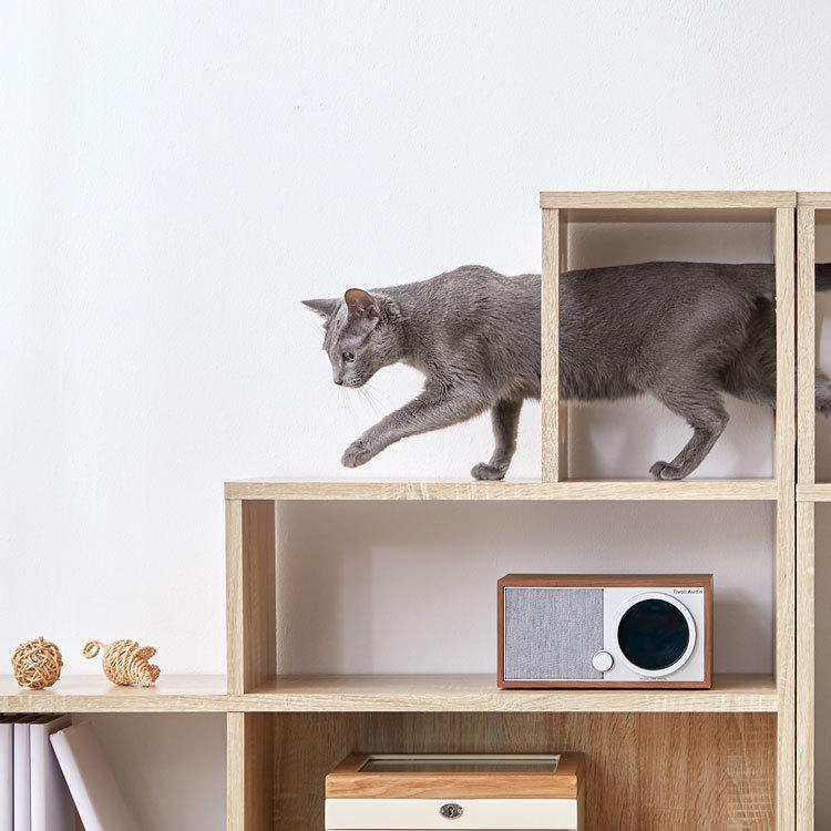 LOWYA（ロウヤ） 階段 ステアーズ 棚 シェルフ 収納 ストレージ 猫家具