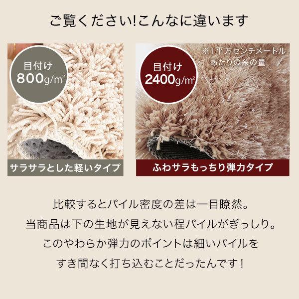 LOWYA（ロウヤ） ラグ ラグマット カーペット 厚手 滑り止め付 秋 冬