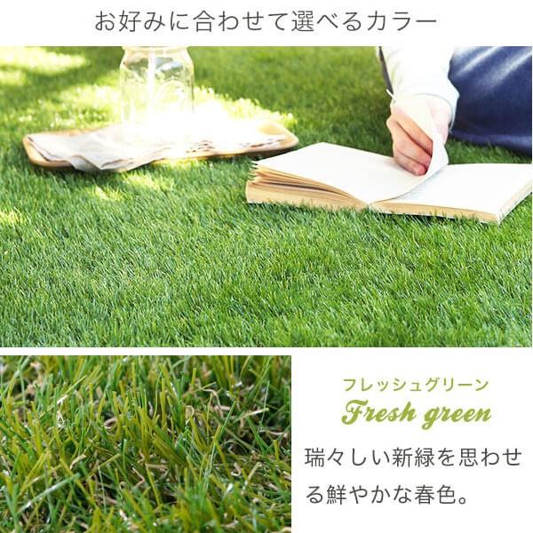 人工芝 ロール 2m×10m 芝生 リアル ベランダ マット ガーデニング バルコニー 屋上緑化 グリーン 芝丈35mm おしゃれ エクステリア | LOWYA | 02