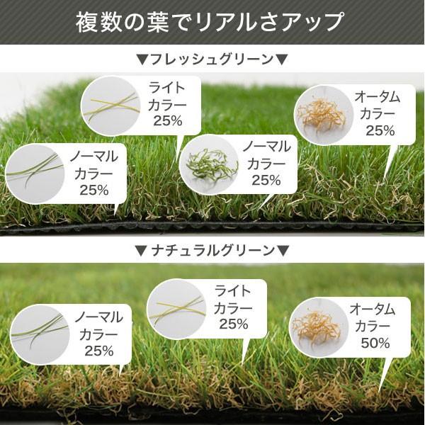 人工芝 ロール 2m×10m 芝生 リアル ベランダ マット ガーデニング バルコニー 屋上緑化 グリーン 芝丈35mm おしゃれ エクステリア | LOWYA | 09