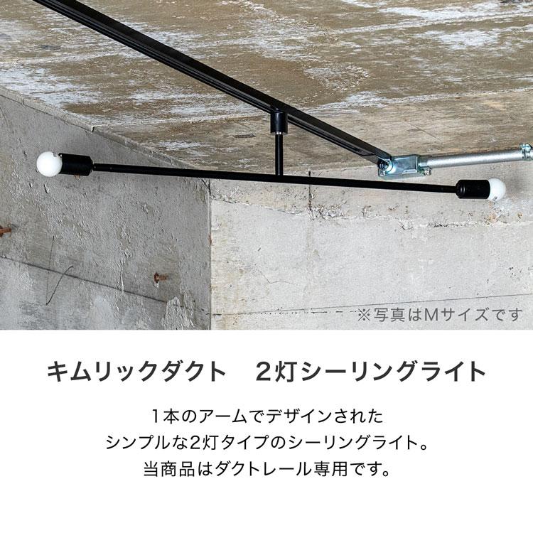 LOWYA（ロウヤ） シーリングライト 2灯 ダクトレール LED 照明器具
