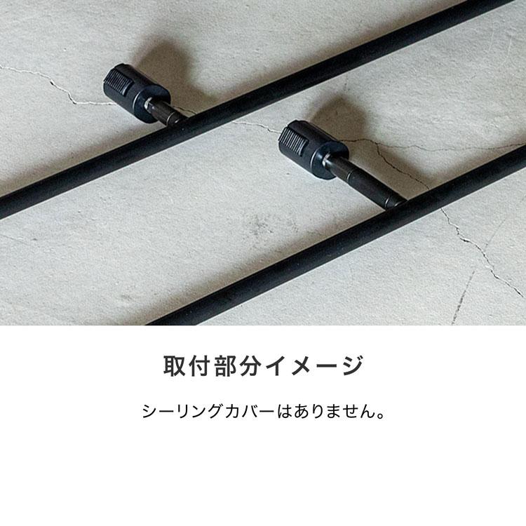 LOWYA（ロウヤ） シーリングライト 2灯 ダクトレール LED 照明器具