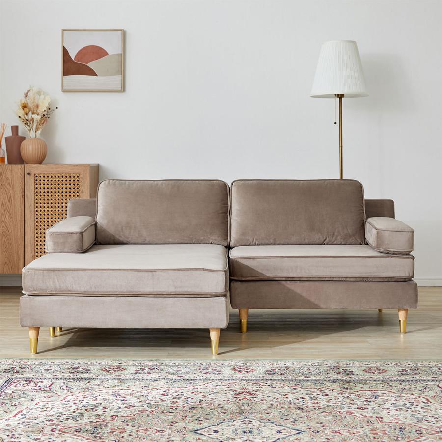 ロウヤ　ローソファ (カラー: ベージュ) Amazon｜LOWYA ロウヤ ソファベッド フロアソファ コンパクト