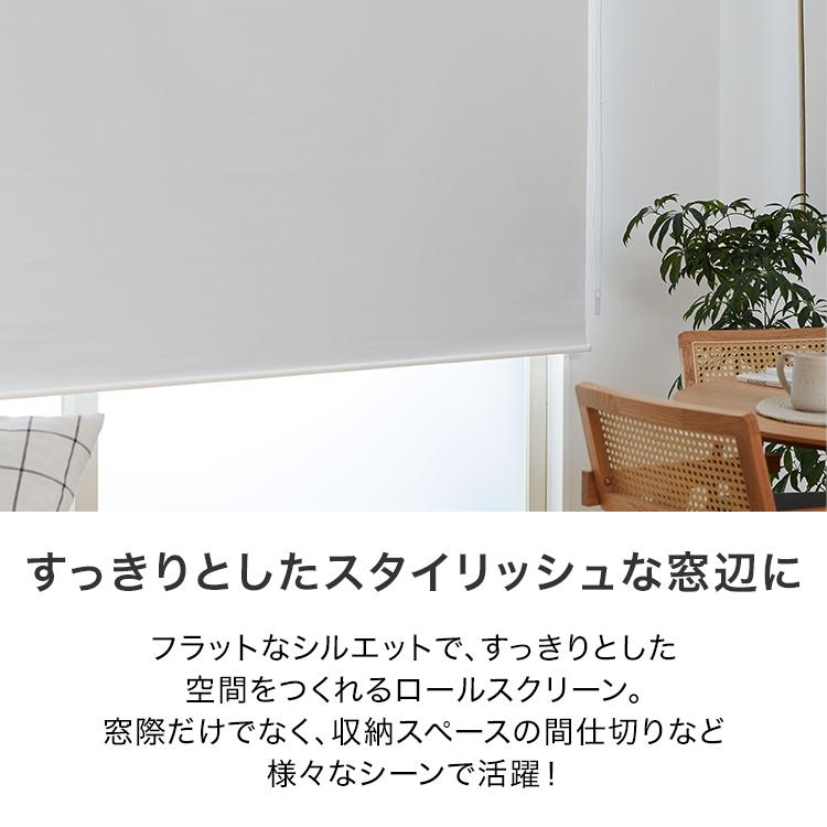 LOWYA（ロウヤ） ロールスクリーン 採光タイプ 60x180 カーテン