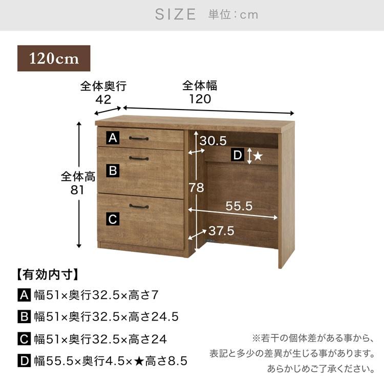 LOWYA（ロウヤ） キッチン収納 キッチンカウンター ゴミ箱収納 棚 作業