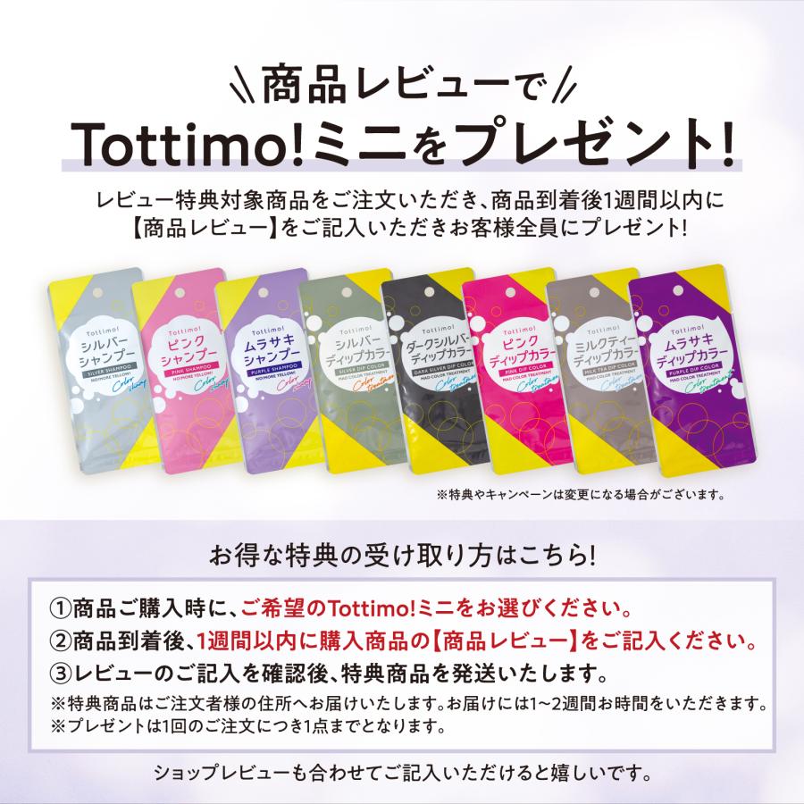Tottimo!（トッティモ） ディップカラー シルバー 500g ヘアカラー用