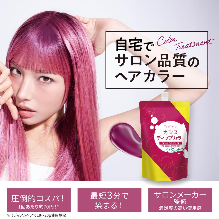 【未開封】タンドゥルージュ ヘアカラー トリートメント 5本セット Tottimo!（トッティモ） ディップカラー カシス 500g ヘアカラー用
