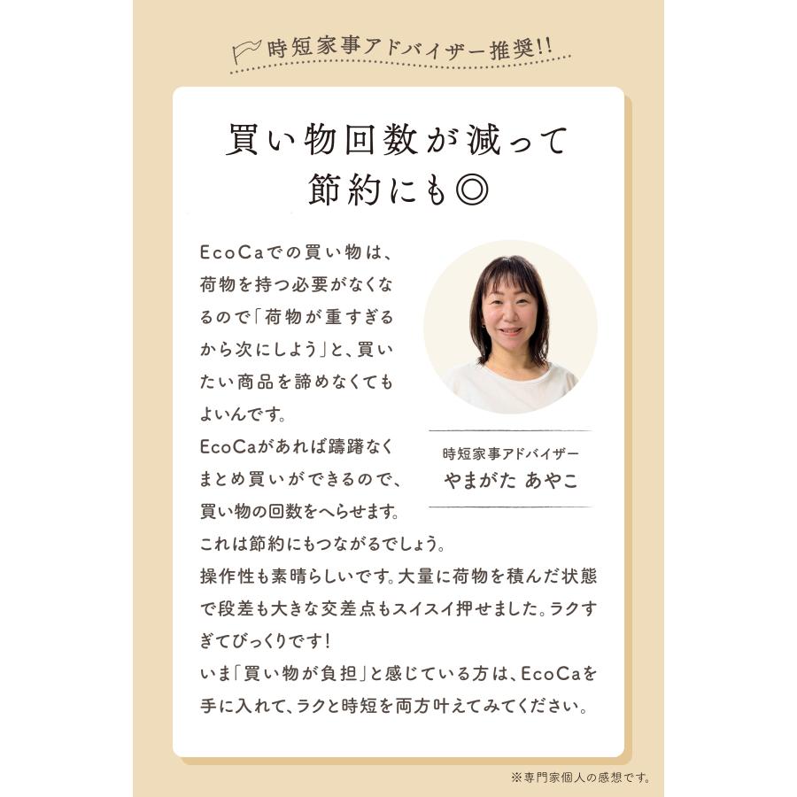 プライムダイレクト（Primedirect） キャリーカート 折りたたみ