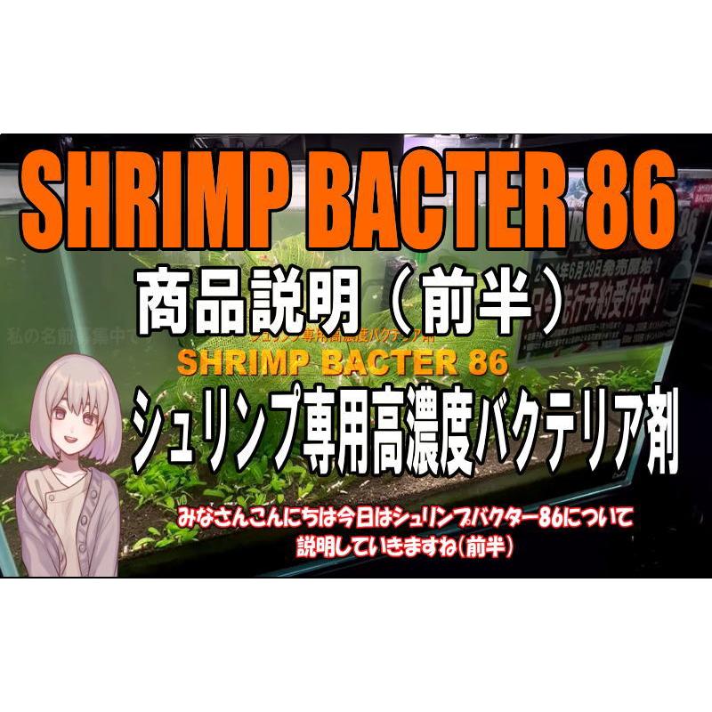 SHRIMP BACTER (シュリンプバクター) 86 1000ml : ローキーズ ヤフー店