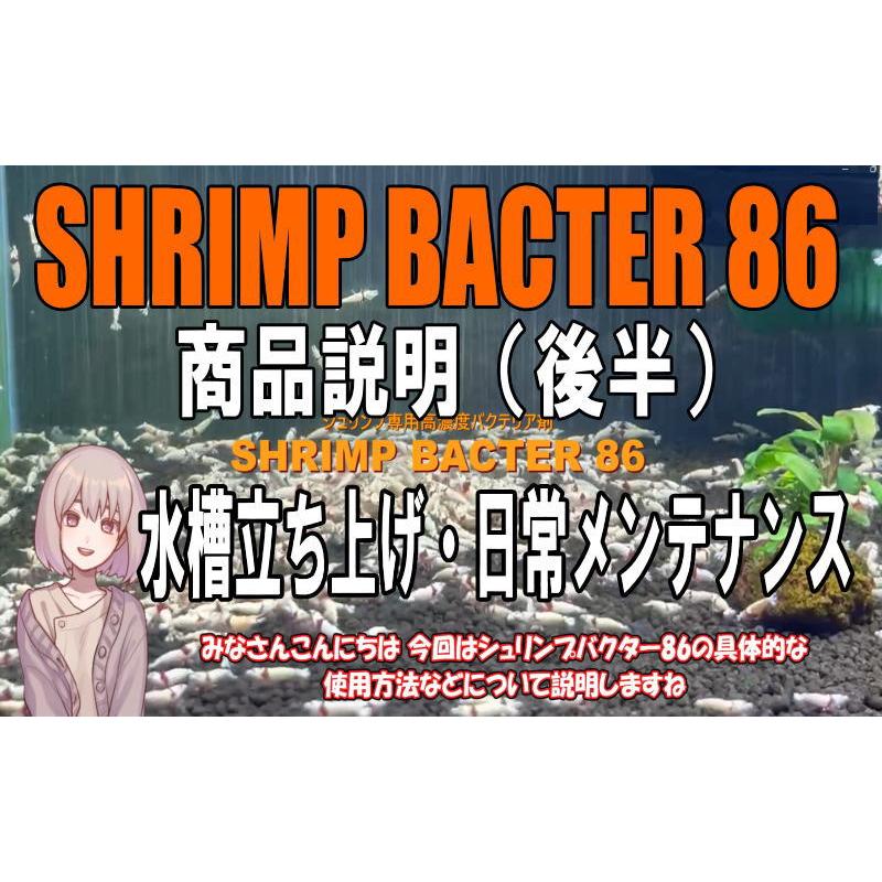 SHRIMP BACTER (シュリンプバクター) 86 1000ml : ローキーズ ヤフー店