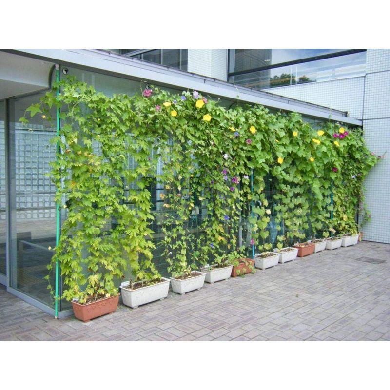 【限定品】 ダイオ化成 つるもの園芸ネット 10cm角目 1.8mx60m(W) 緑 【D2159136287】(11634円)