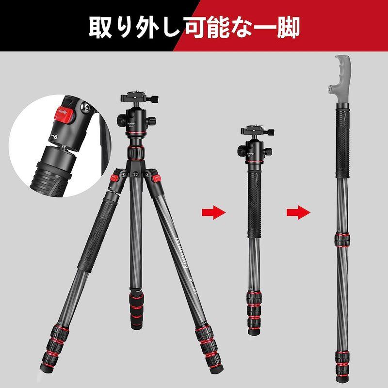Manbily 173cm カーボン三脚 トラベル三脚 中軸反転 マクロ撮影 一脚可変式 カメラ三脚 耐荷重8kg 自由雲台 脚径28mm 173cm カーボン三脚 トラベル三脚 中軸反転 マクロ撮影 一脚可変式 カメラ三脚 耐荷重8kg 自由雲台 脚径28mm ボール