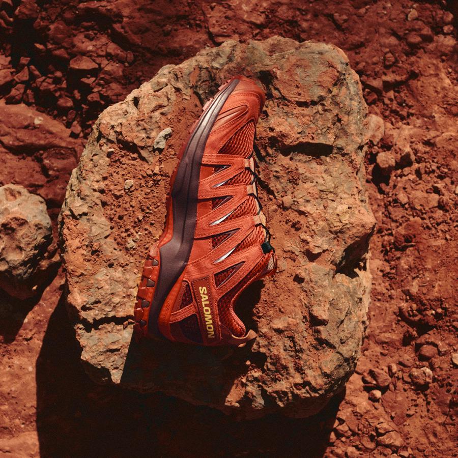 SALOMON（サロモン） SALOMON XA PRO 3D RED ASHES エックスエー プロ