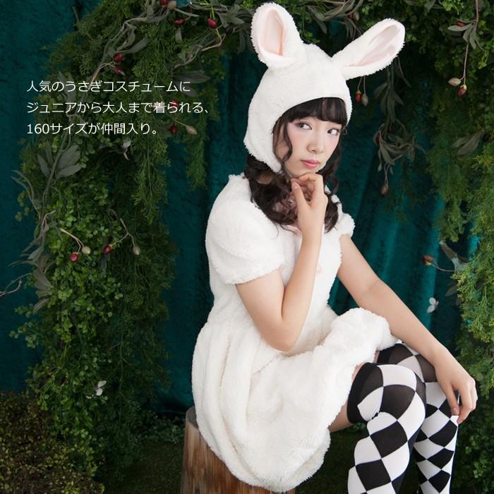 森のうさぎのふわふわワンピースセット　ジュニア・レディースサイズ/160サイズ　着ぐるみ　女の子 |  | 01