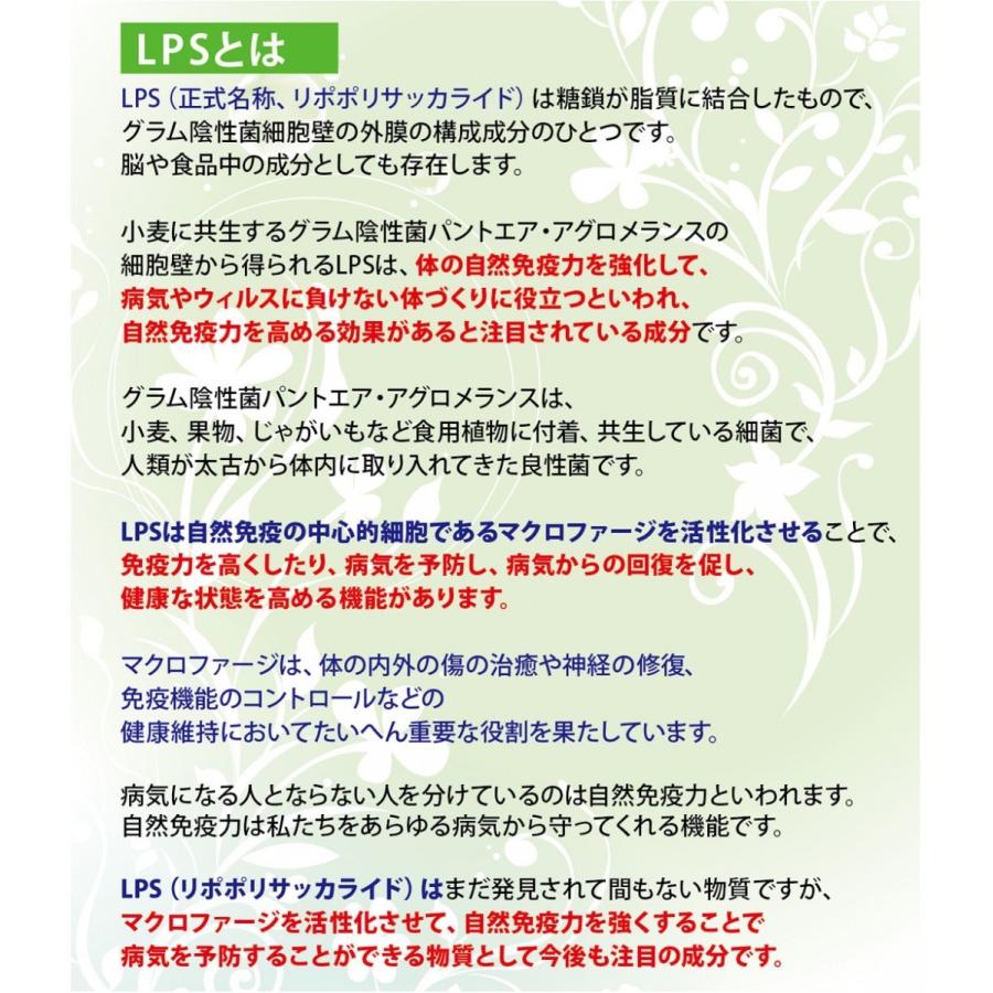 LPS （リポポリサッカライド）配合保湿クリーム「LPSバイタル クリーム HDステージ （50g）」3本セット☆アトピー肌 敏感肌 手荒れに |  | 02