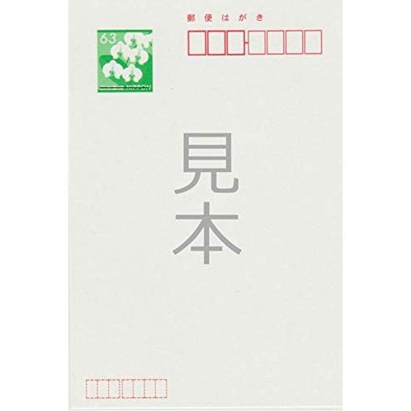 メイドインたんたん 官製 10枚 喪中はがき 10枚パック 手書き記入タイプ K-2021-820 ハガキ 裏面印刷済み 胡蝶蘭｜lr-store｜03