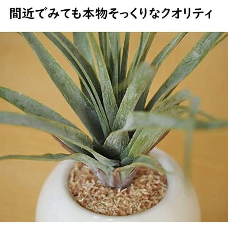 ミニ インテリアグリーン 造花 観葉植物 ユーカリ、エアプランツ、ファンシェイプ ?グリーン 3点セット｜lr-store｜06